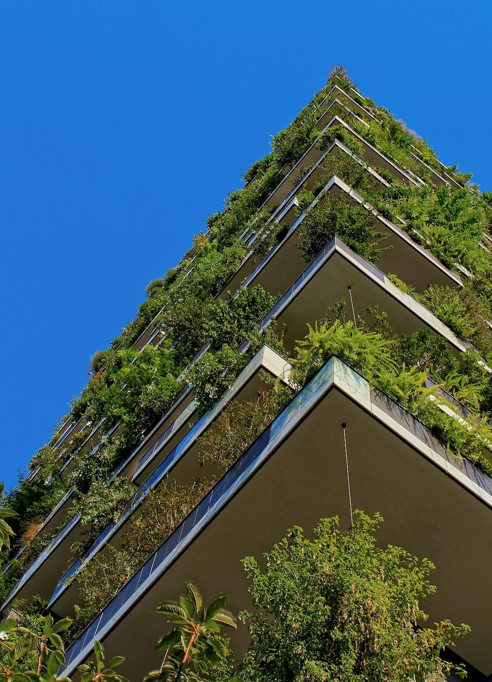 Carbon Neutral Campus