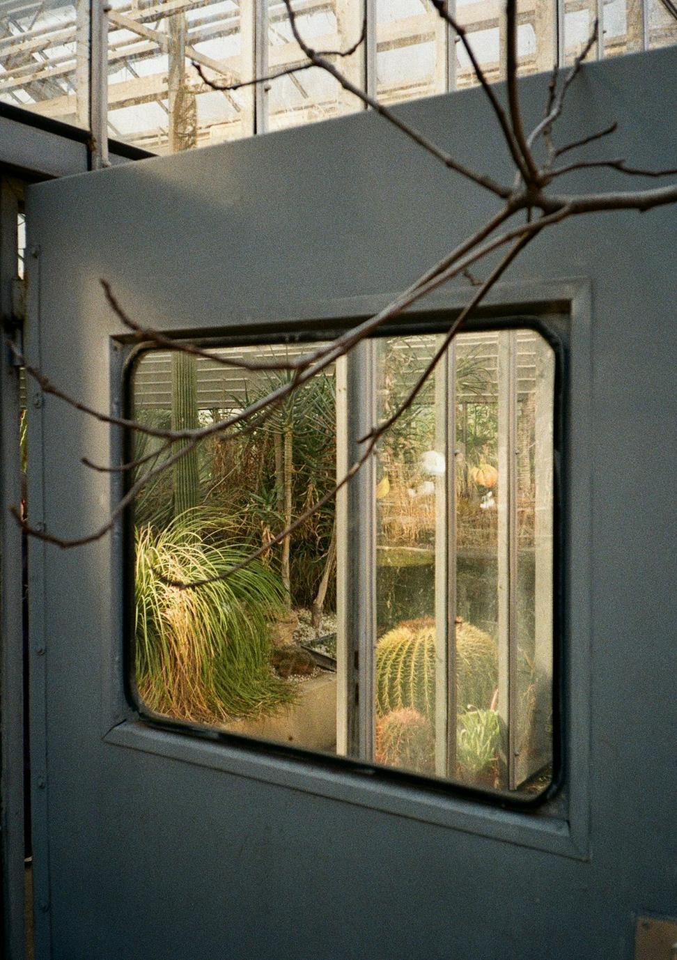 Eco Dome Residence